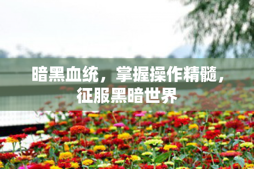 暗黑血统，掌握操作精髓，征服黑暗世界