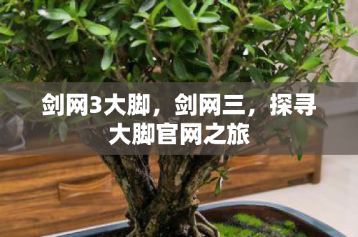 剑网3大脚，剑网三，探寻大脚官网之旅