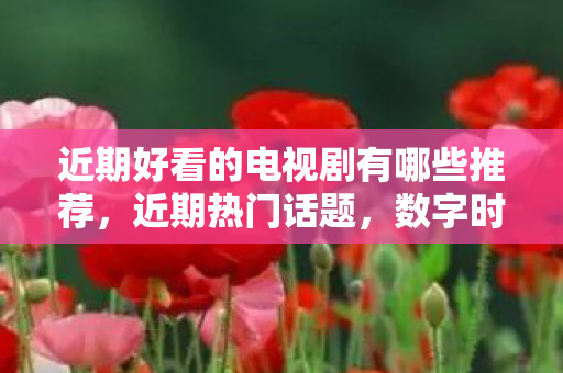 近期好看的电视剧有哪些推荐，近期热门话题，数字时代的隐私保护与信息安全