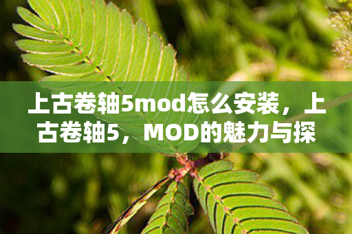 上古卷轴5mod怎么安装，上古卷轴5，MOD的魅力与探索之旅