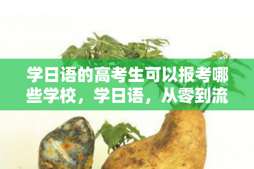 学日语的高考生可以报考哪些学校,学日语,从零到流利,你需要知道的步骤 学日语的高考生可以报考哪些学校,学日语,从零到流利,你需要知道的步骤
