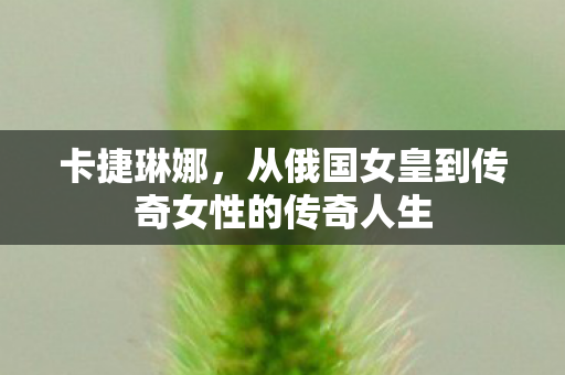 卡捷琳娜，从俄国女皇到传奇女性的传奇人生