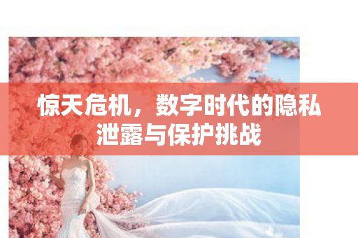 惊天危机，数字时代的隐私泄露与保护挑战
