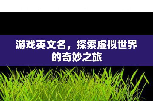 游戏英文名，探索虚拟世界的奇妙之旅