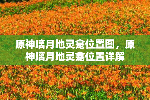 原神璃月地灵龛位置图，原神璃月地灵龛位置详解