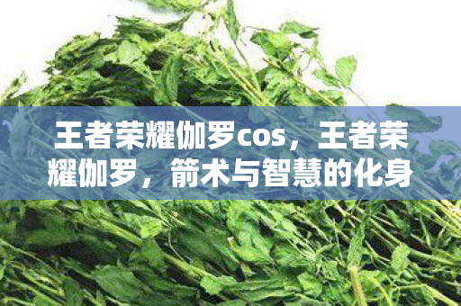 王者荣耀伽罗cos，王者荣耀伽罗，箭术与智慧的化身