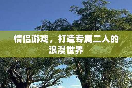 情侣游戏，打造专属二人的浪漫世界