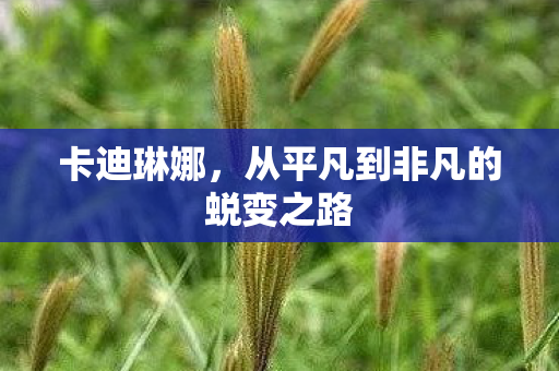 卡迪琳娜，从平凡到非凡的蜕变之路