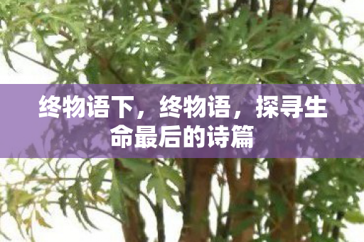 终物语下，终物语，探寻生命最后的诗篇