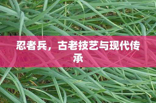 忍者兵,古老技艺与现代传承 忍者兵,古老技艺与现代传承