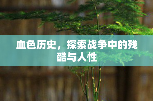 血色历史，探索战争中的残酷与人性