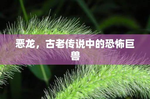 恶龙，古老传说中的恐怖巨兽