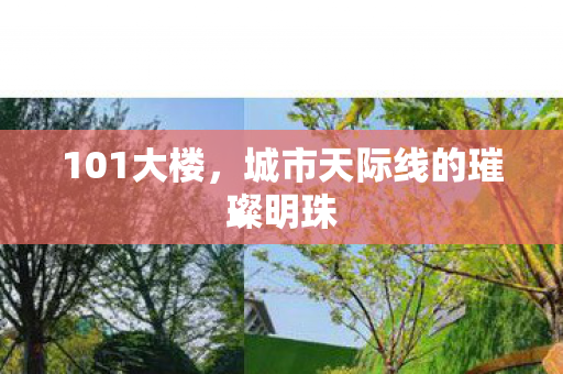 101大楼,城市天际线的璀璨明珠 101大楼,城市天际线的璀璨明珠