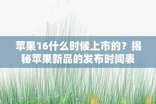 苹果16什么时候上市的？揭秘苹果新品的发布时间表