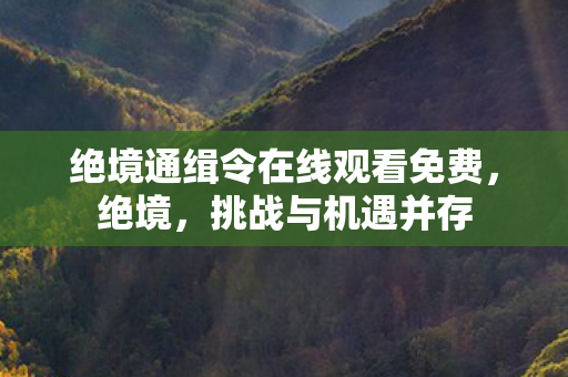 绝境通缉令在线观看免费,绝境,挑战与机遇并存 绝境通缉令在线观看免费,绝境,挑战与机遇并存
