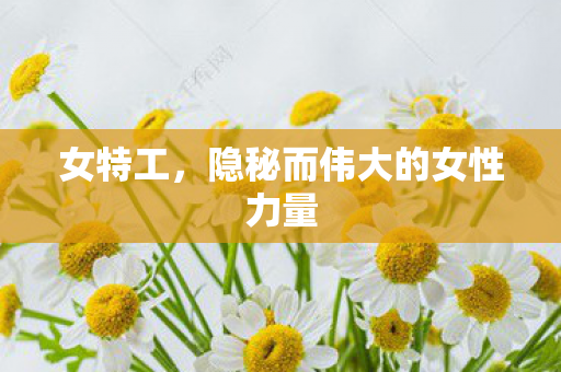 女特工，隐秘而伟大的女性力量