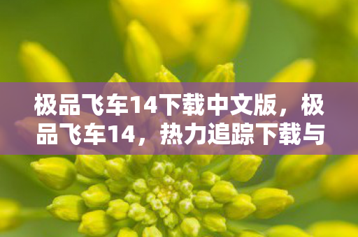 极品飞车14下载中文版，极品飞车14，热力追踪下载与体验指南