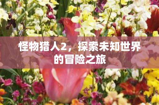 怪物猎人2，探索未知世界的冒险之旅