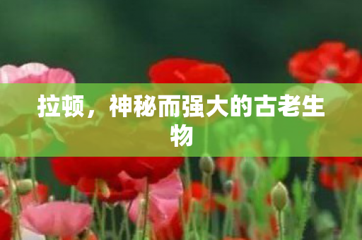 拉顿，神秘而强大的古老生物