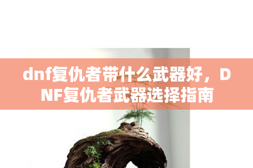 dnf复仇者带什么武器好，DNF复仇者武器选择指南