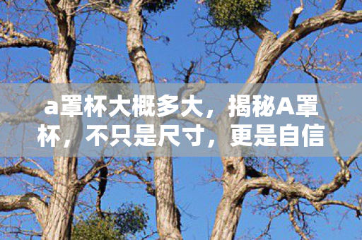 a罩杯大概多大，揭秘A罩杯，不只是尺寸，更是自信与美丽的象征