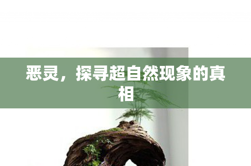 恶灵，探寻超自然现象的真相