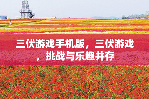 三伏游戏手机版，三伏游戏，挑战与乐趣并存