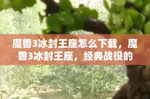 魔兽3冰封王座怎么下载,魔兽3冰封王座,经典战役的传奇再现 魔兽3冰封王座怎么下载,魔兽3冰封王座,经典战役的传奇再现