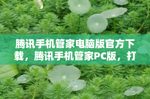 腾讯手机管家电脑版官方下载,腾讯手机管家PC版,打造智能生活,从手机管理开始 腾讯手机管家电脑版官方下载,腾讯手机管家PC版,打造智能生活,从手机管理开始