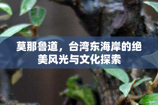 莫那鲁道，台湾东海岸的绝美风光与文化探索