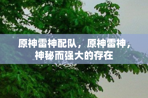 原神雷神配队，原神雷神，神秘而强大的存在