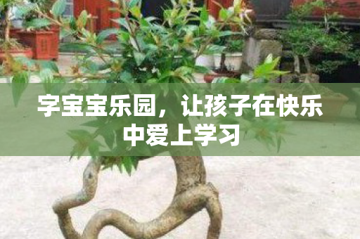 字宝宝乐园,让孩子在快乐中爱上学习 字宝宝乐园,让孩子在快乐中爱上学习