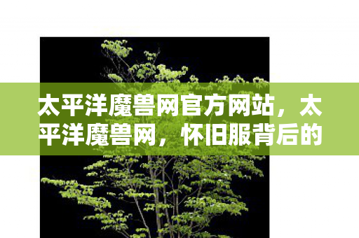 太平洋魔兽网官方网站，太平洋魔兽网，怀旧服背后的故事