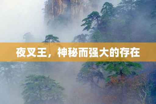夜叉王，神秘而强大的存在