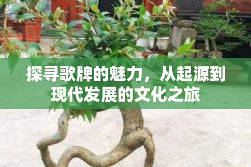 探寻歌牌的魅力,从起源到现代发展的文化之旅 探寻歌牌的魅力,从起源到现代发展的文化之旅
