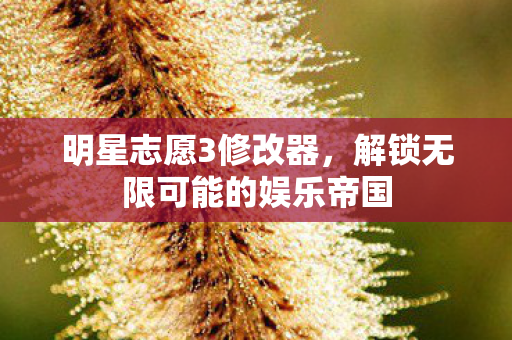 明星志愿3修改器，解锁无限可能的娱乐帝国