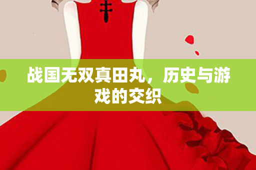 战国无双真田丸，历史与游戏的交织