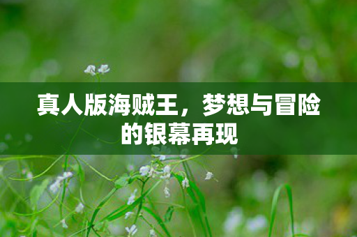 真人版海贼王，梦想与冒险的银幕再现