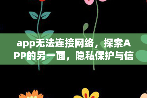 app无法连接网络，探索APP的另一面，隐私保护与信息安全