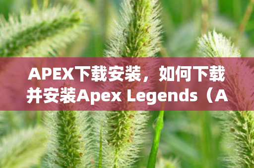 APEX下载安装，如何下载并安装Apex Legends（Apex英雄）