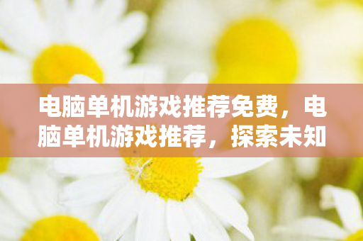 电脑单机游戏推荐免费，电脑单机游戏推荐，探索未知，享受游戏乐趣