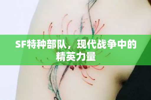 SF特种部队，现代战争中的精英力量