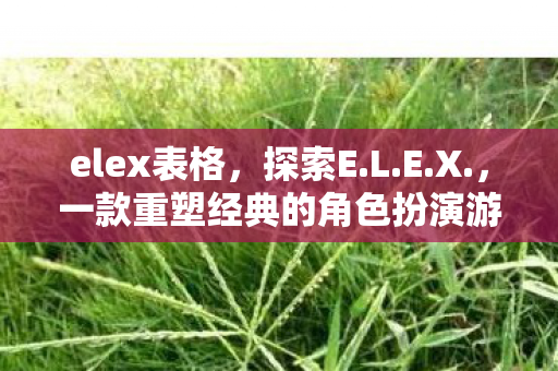 elex表格，探索E.L.E.X.，一款重塑经典的角色扮演游戏