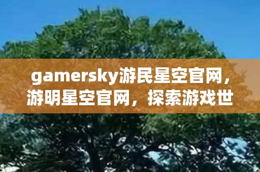 gamersky游民星空官网，游明星空官网，探索游戏世界的奇妙之旅