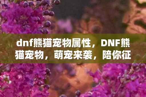 dnf熊猫宠物属性，DNF熊猫宠物，萌宠来袭，陪你征战地下城！