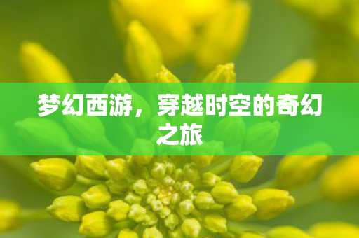 梦幻西游，穿越时空的奇幻之旅