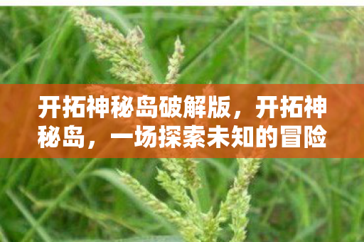 开拓神秘岛破解版，开拓神秘岛，一场探索未知的冒险之旅