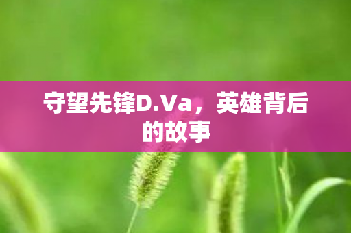 守望先锋D.Va，英雄背后的故事