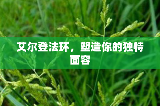 艾尔登法环，塑造你的独特面容