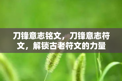 解锁古老符文的力量图片